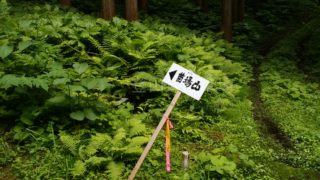 平標山登山口 苗場山